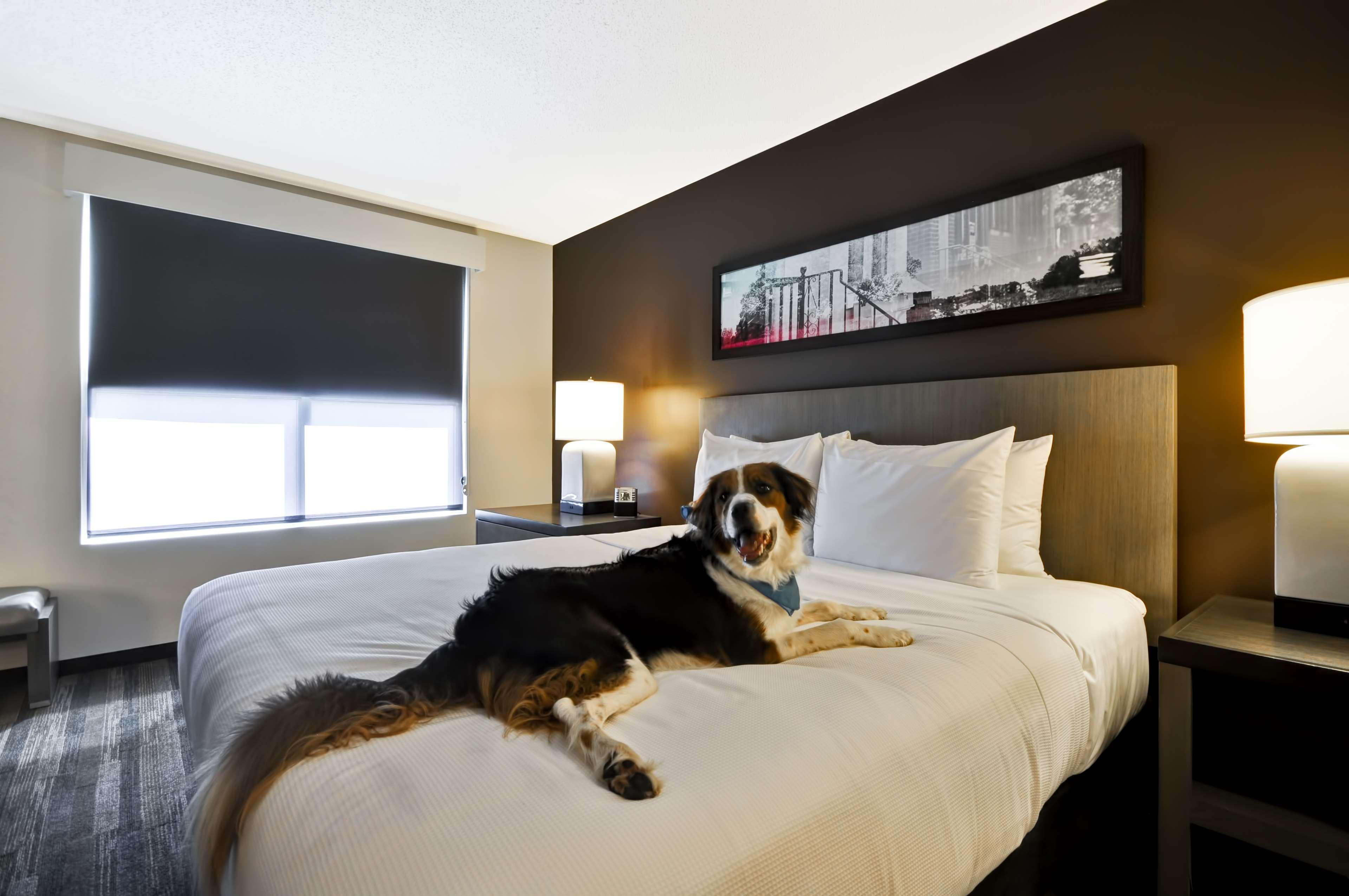 Hyatt House Atlanta Cobb Galleria Smyrna Bagian luar foto