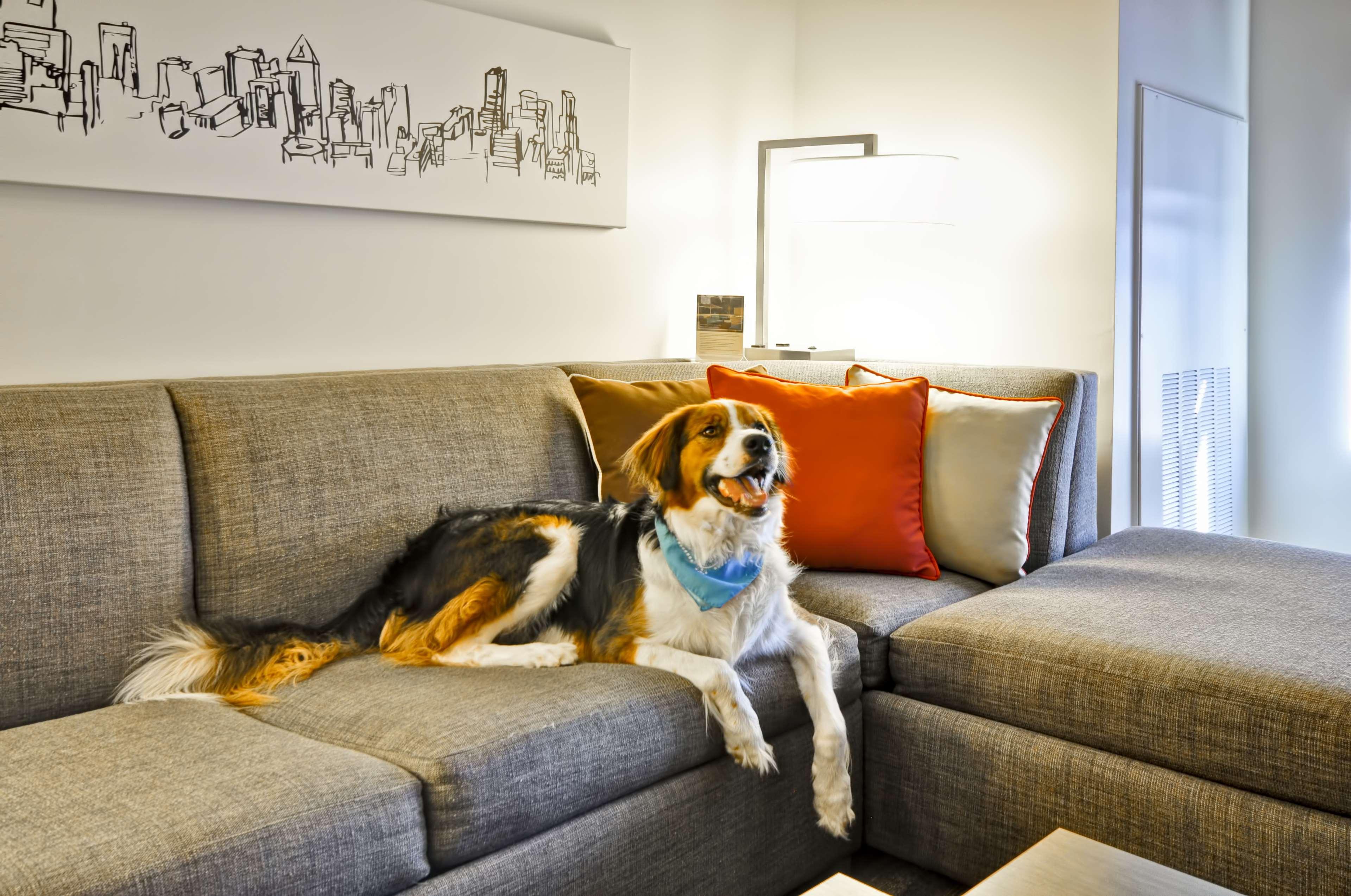 Hyatt House Atlanta Cobb Galleria Smyrna Bagian luar foto